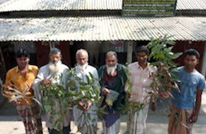 The mobile plant clinic at Tirail in Bangladesh, attracts farmers with diverse problems.