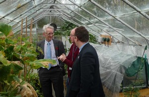 Andrew Stunell in a greenhouse