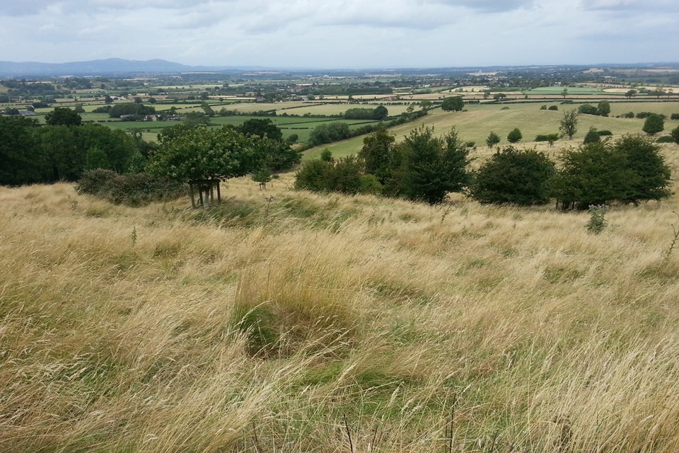 View west from Bredon Hill towards Malvern Hills © Tabatha Leigh