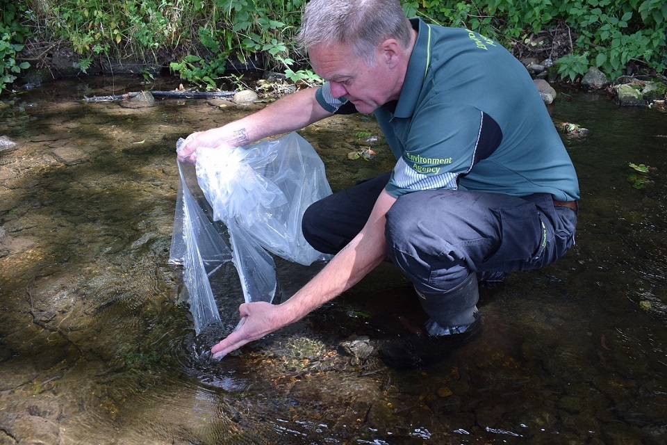 Fish stocks boost for North East rivers (August 2017)