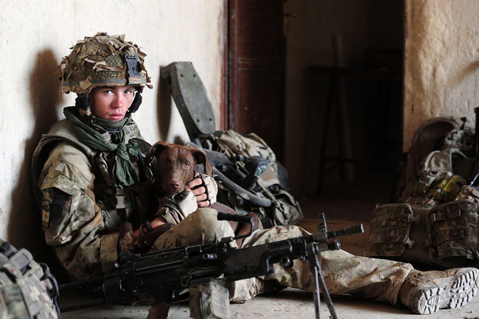 Rifleman Ross Mills, 1st Battalion The Rifles, with his company's adopted dog 'Sharpie' - winner of the Army Professional Portrait Image and Army Professional Operational Image