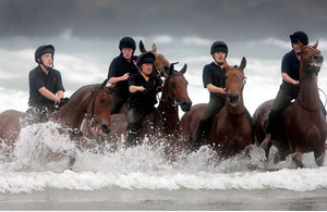 Horses from the King's Troop Royal Artillery are exercised in the sea on Polzeath Beach, Polzeath, Cornwall