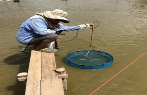 Shrimp farmer