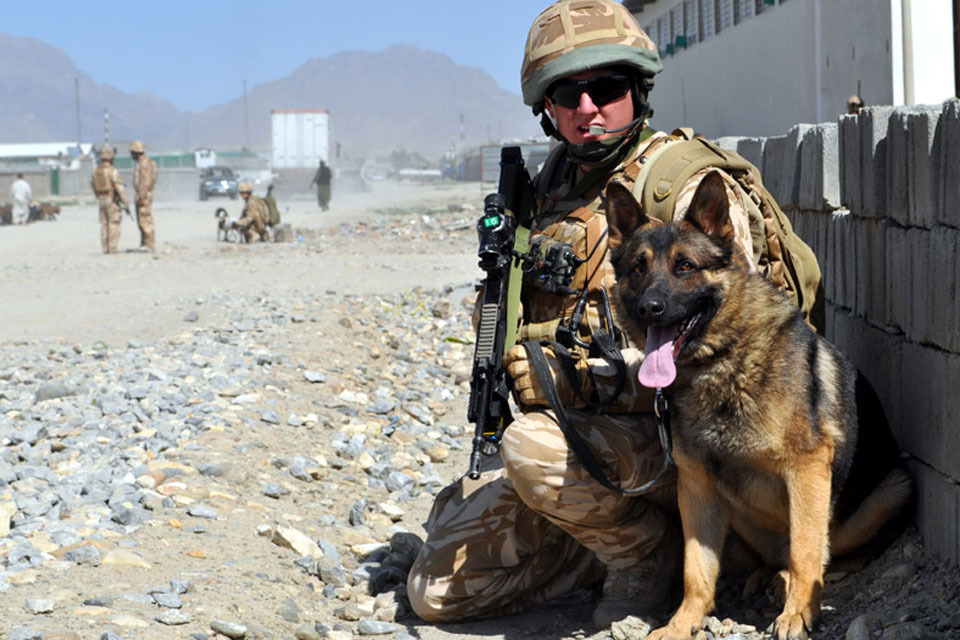 Wallace and Gromit' patrol the streets of Kabul
