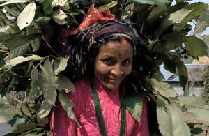 The Sundari communities in Nepal rely on forest products