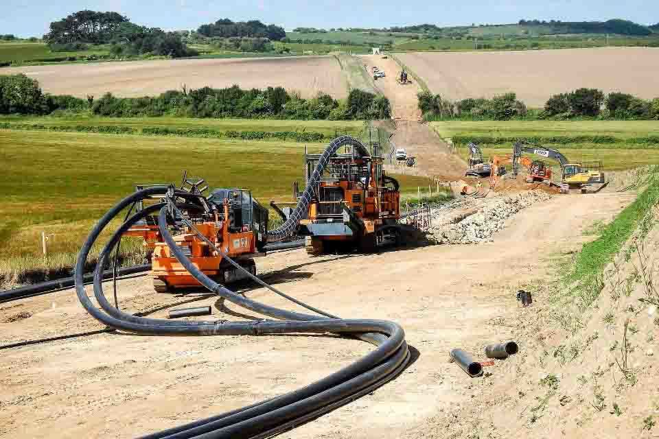 Natural England reduces red tape on badger class licences