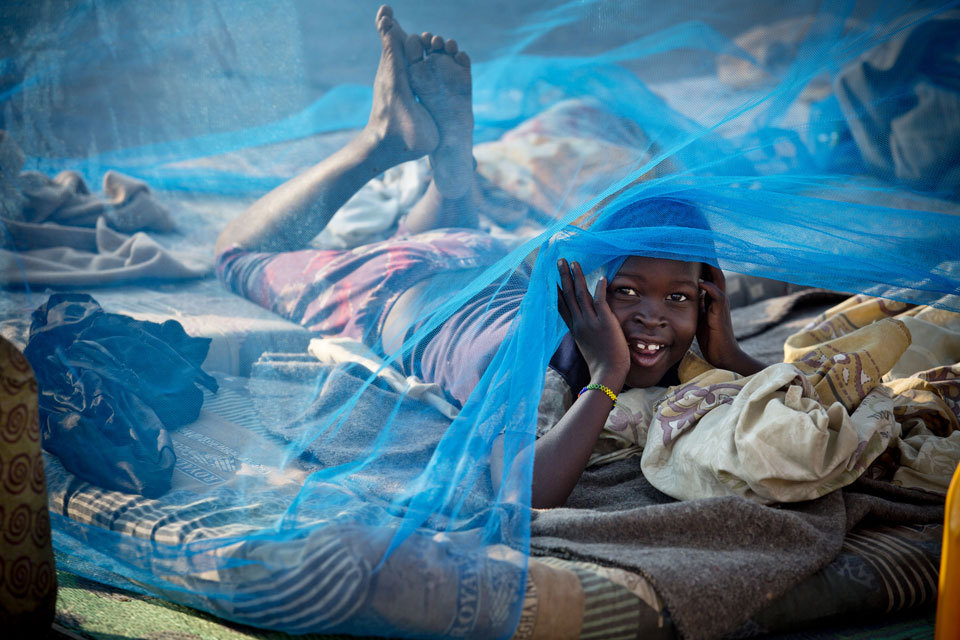 Malaria death rates drop by 60%