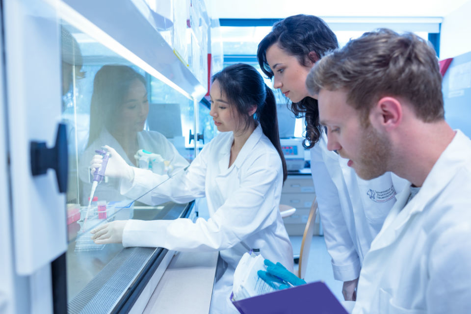 Reducing the use of animals in research: apply for funding
