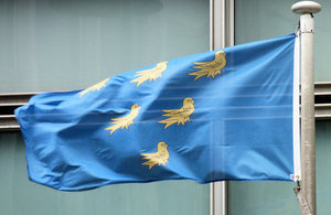 Sussex flag