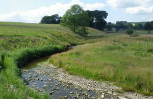 Image of an example of natural flood management - a meandering stream and a meadow with saplings planted