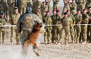 Spectators watch as Lieutenant Colonel Jez Hair is bitten by patrol dog Rex as part of the 'Bite the Boss' fundraising event for Macmillan Cancer Support