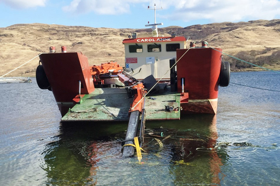 Carol Anne report published