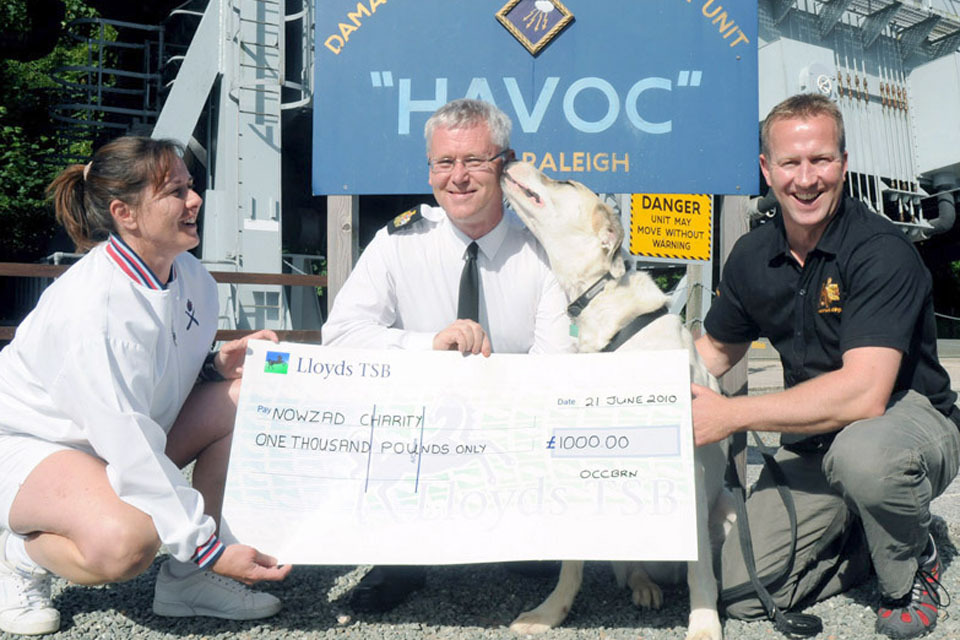 Royal Navy staff help Afghan dogs