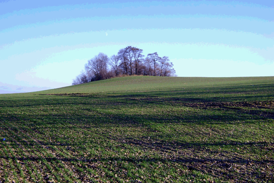 CAP Reform: Dual use will continue to be allowed in 2015