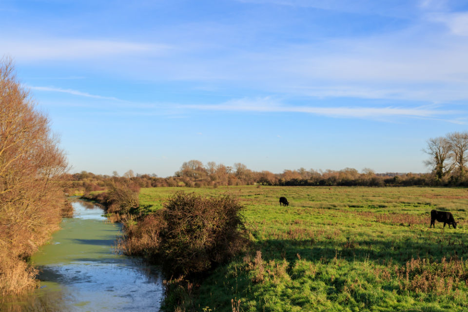 New Farming Rules for Water