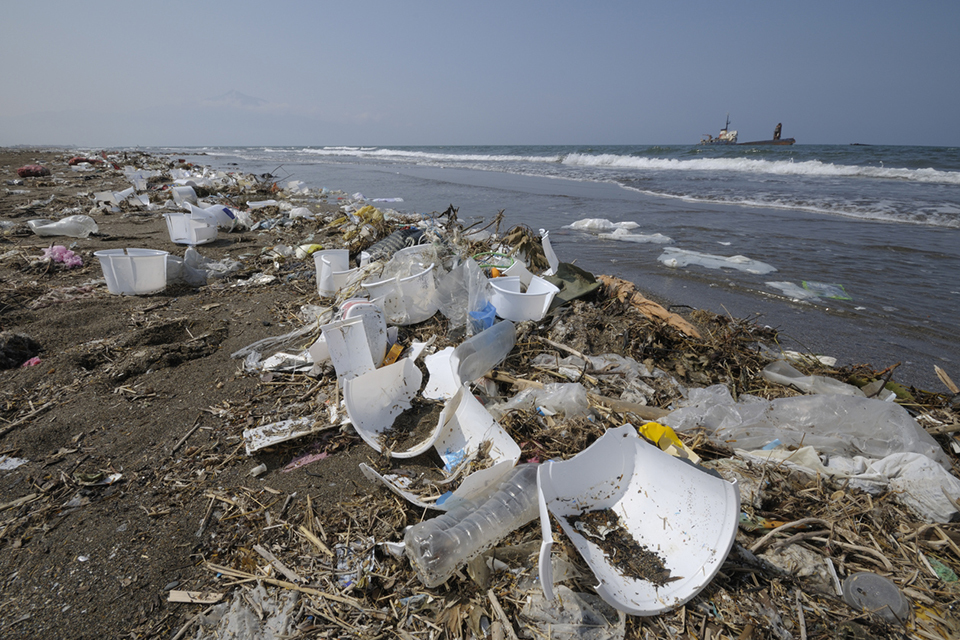 Self service approach reduces fees for some low risk licences