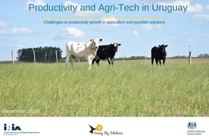Productivity and Agri-Tech in Uruguay