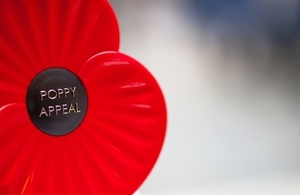 Poppy appeal on behalf of the Royal British Legion