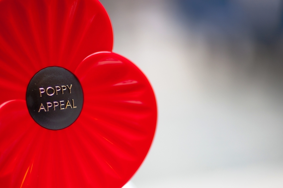 This remembrance day, wear your poppy with pride in austria
