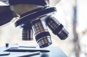 Close up of medical microscope. Credit: freedarst at Shutterstock.