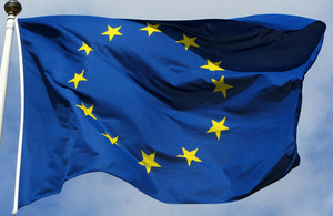 EU Flag by Bobby Hidy
