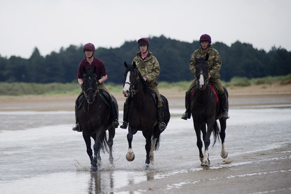Household Cavalry enjoy a post Jubilee seaside break
