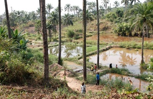 Community fish-farming ponds in the DRC.