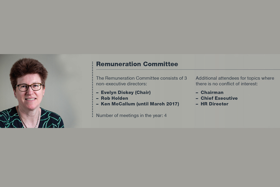Remuneration Committee 