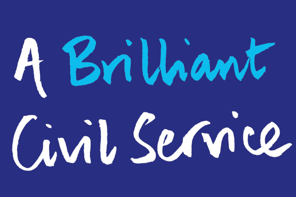 'A Brilliant Civil Service' logo