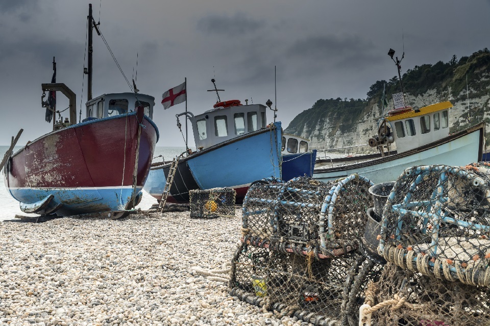 New opportunity for fishermen to influence catch limits