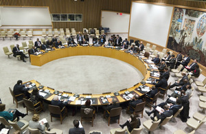 UN Security Council