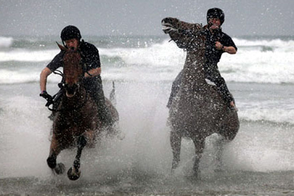 Horses from the King's Troop Royal Artillery are exercised in the sea on Polzeath Beach, Polzeath, Cornwall [Picture: Copyright/SWNS Group 2011]