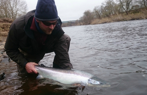 Salmon and sea trout catch return
