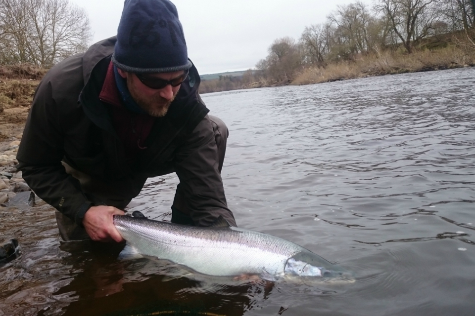 Call for anglers to submit their salmon and trout catch returns