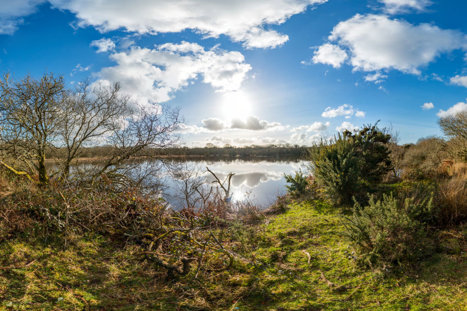 Landscape protection confirmed for Cornwall's rare species