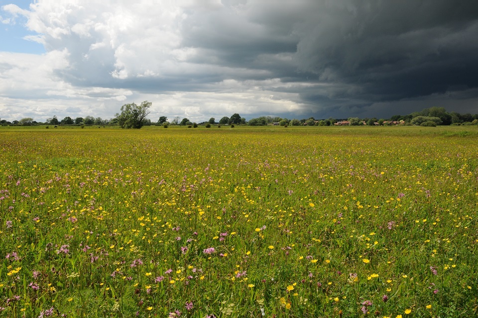 Flood hit farm groups given £800,000