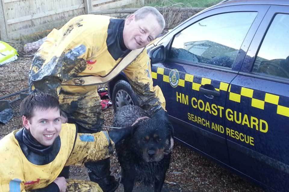 [withdrawn] rottweiler dog, ‘buddy’ rescued from mud at langstone harbour