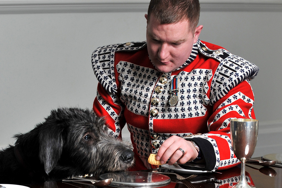 Playful pup newest recruit to Irish Guards