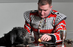 Drummer David Steed and the Irish Guards' new mascot, Domhnall [Picture: Corporal Steve Blake, Crown Copyright/MOD 2012]