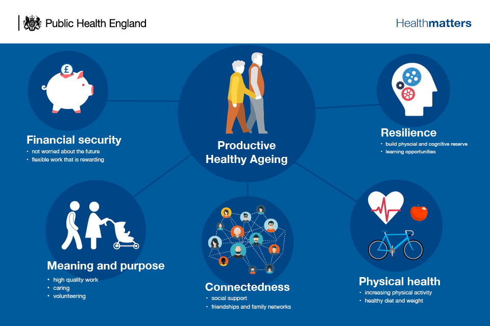 Infographic explaining productive healthy ageing