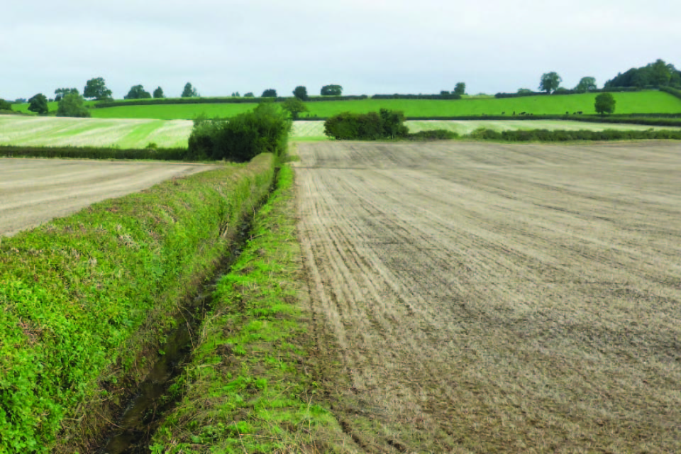 Farmers set for increased payments as the Rural Payments Agency confirms BPS 2017 entitlement and greening rates