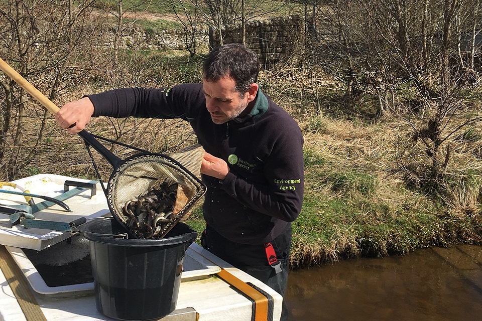 Image shows Richard Bond preparing the fish for stocking