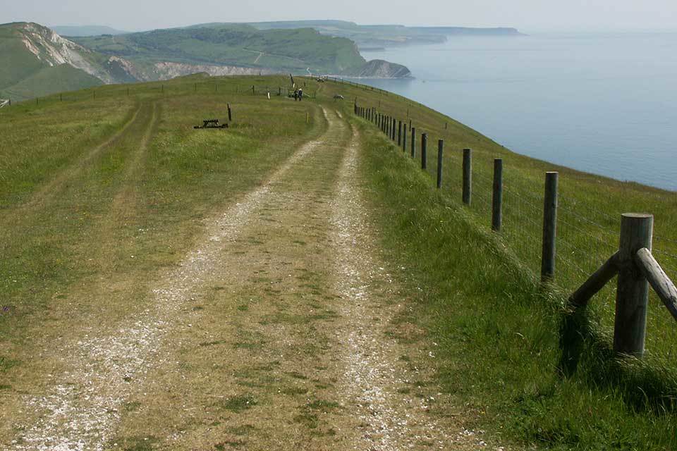 New environmental protections to deliver a Green Brexit