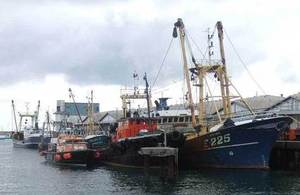 Fishing boats in port