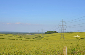 Electricity pylons