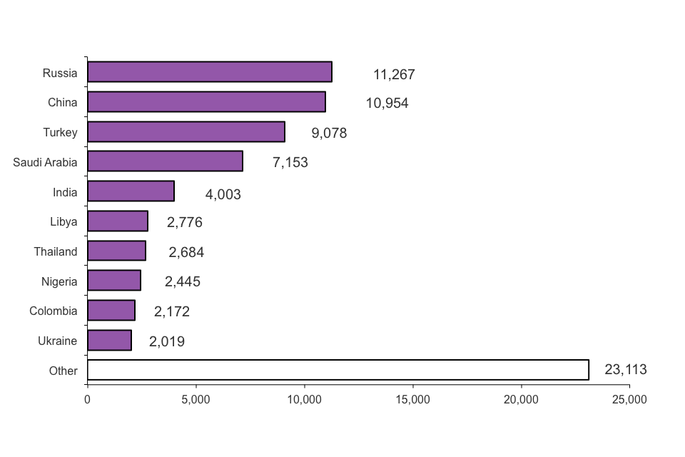 The chart shows student visitor visas issued by nationality for 2013. The chart is based on data in Table be 06 q s.
