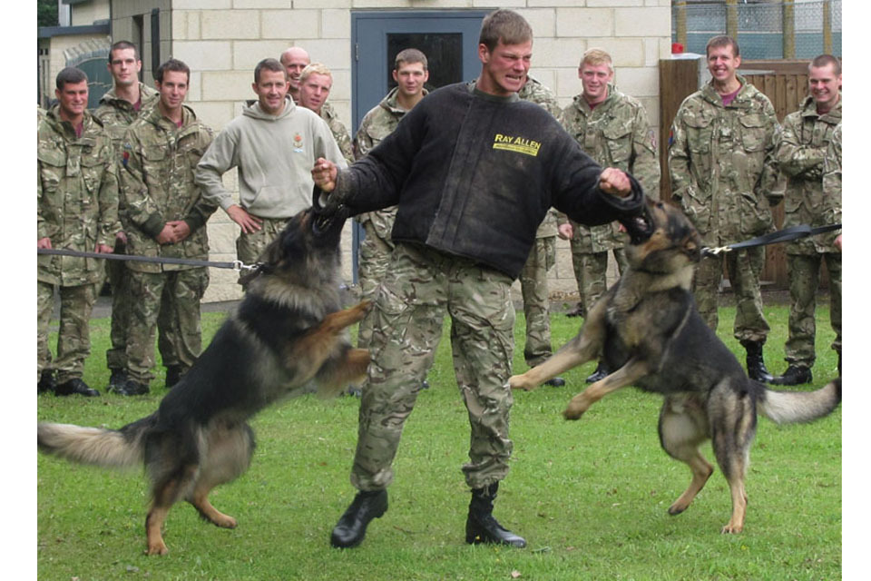 Police dogs help airborne gunners broaden their horizons