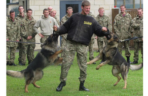 Police dogs attack a soldier