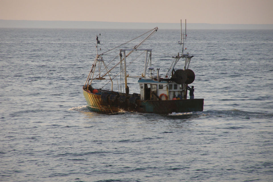 UK and English quota management rules consultation