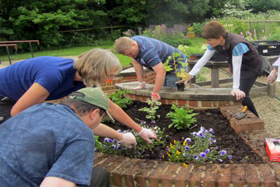 Connecting with nature offers a new approach to mental health care